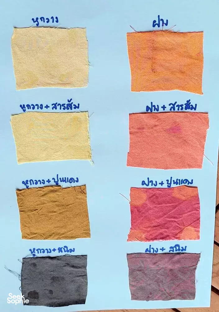 Seek Sophie option picture