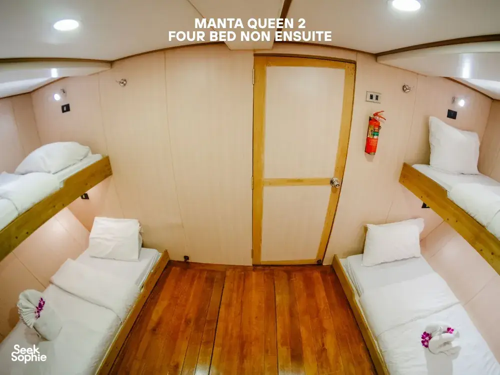 Seek Sophie option picture