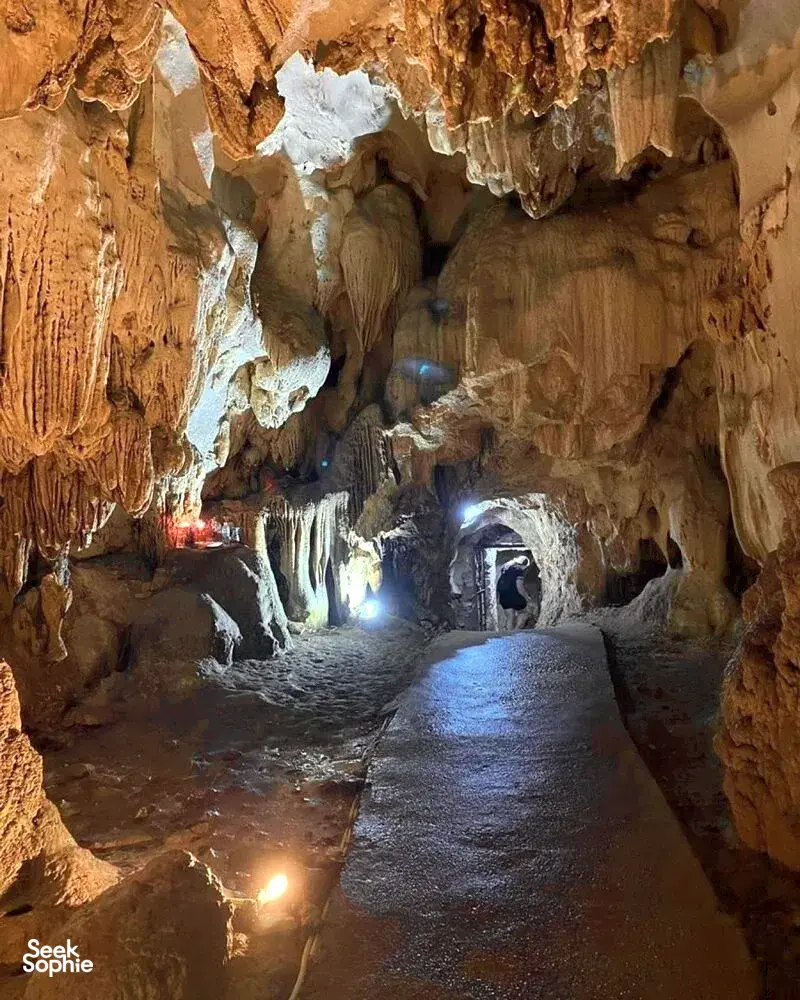 Seek Sophie option picture