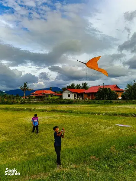 Orange kite flying over a grassy field near red-roof houses during a village cycling tour in Langkawi with Dev's Adventure Tours