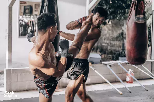 Private Muay Thai Lessons with Professional Fighters