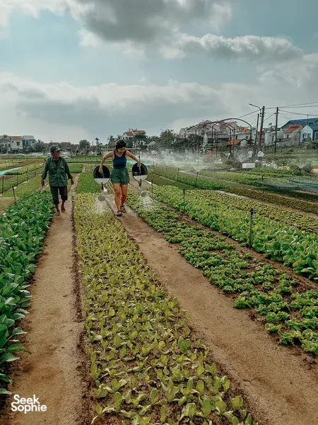 Hoi An Countryside on Bike + Home-cooked Food with Local Family