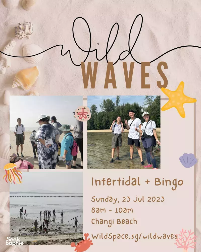 Seek Sophie option picture