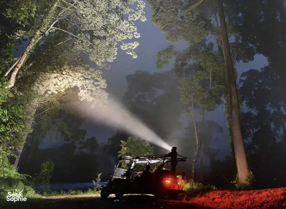 Night safari vehicle with headlamp cruising along a jungle road through Danum Valley rainforest in Sabah, Malaysia