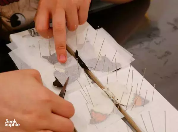 Preserving and Pinning: Learn to Taxidermize Butterflies/ Beetles!