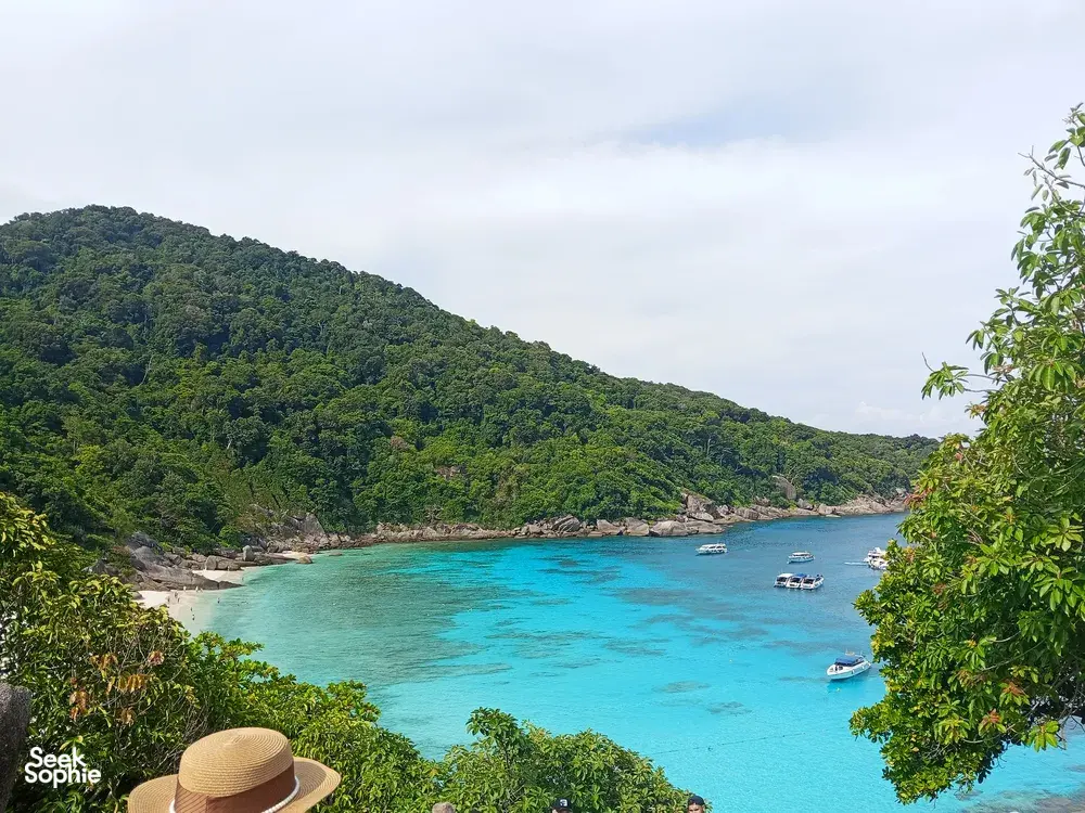 Seek Sophie option picture