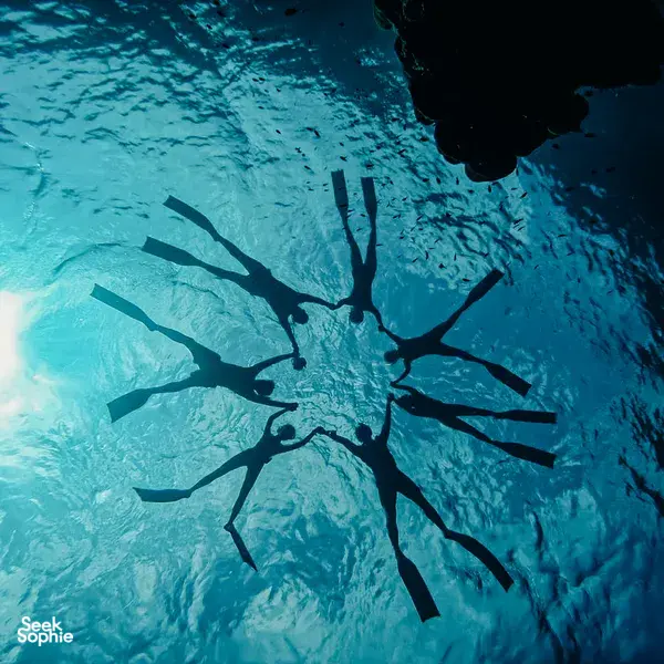 Greenview Tour snorkelling in Surin waters, with a diver silhouette swimming above the seabed in clear blue sea