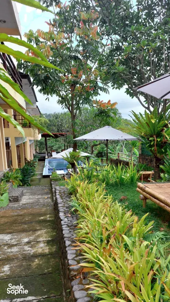 Seek Sophie option picture