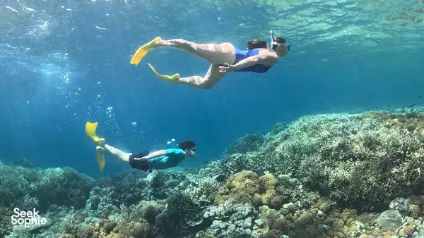 Private Gili Kondo Snorkelling Trip: Mangrove Wonders, Crystal-Clear Waters & Serene Escapes!