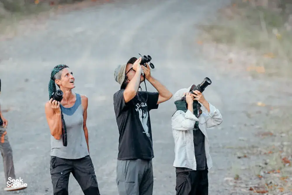 Seek Sophie option picture