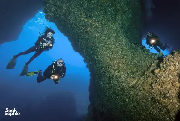 斯米兰群岛双潜体验 | 从考拉出发 | 舒适潜水船 & 经验丰富团队