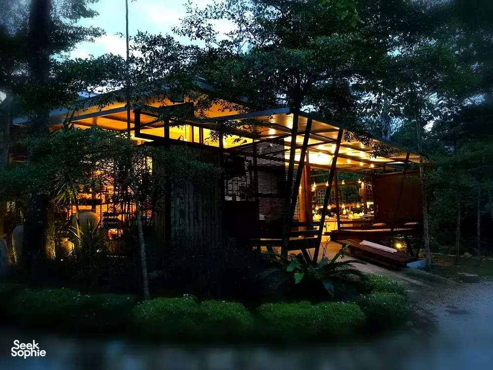 Seek Sophie option picture