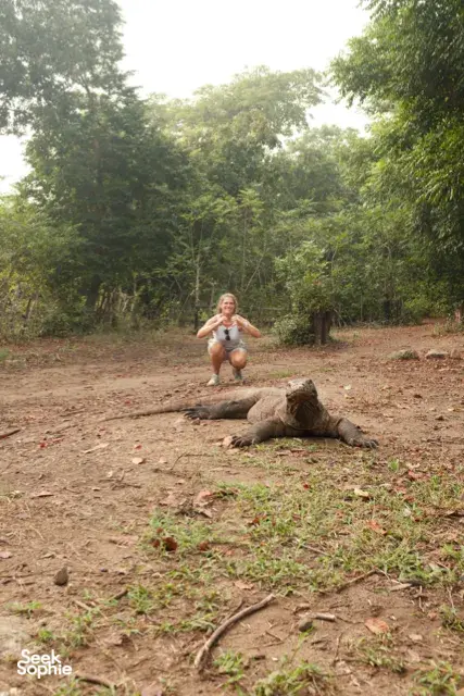 Traveller kneeling near a Komodo dragon on a dirt clearing surrounded by trees on Rinca Island during a Komodo day trip — Komodo dragons
