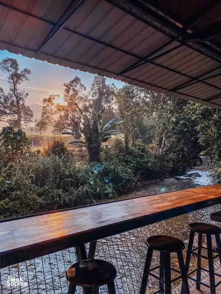 Seek Sophie option picture