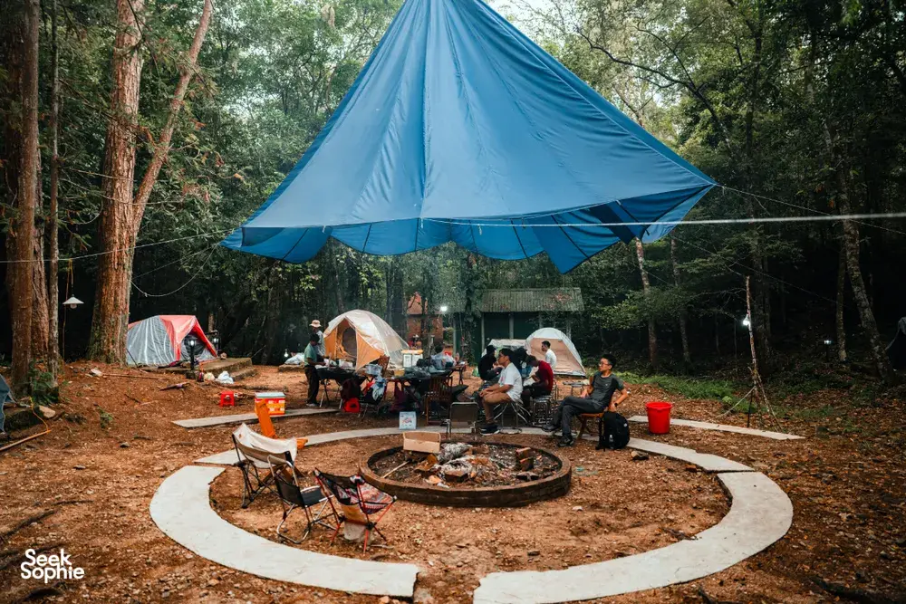 Seek Sophie option picture