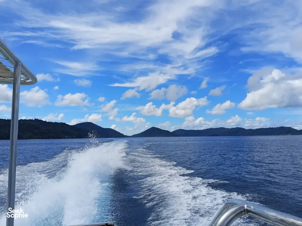 Seek Sophie option picture