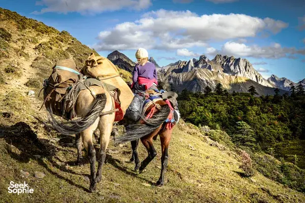 Packed mule caravan on a mountain track with riders in the distance, overlooking rugged valleys on a nomadic stay in Shangri-La