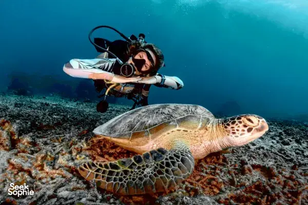 Coba Menyelam di Gili Trawangan | Tidak perlu pengalaman menyelam!