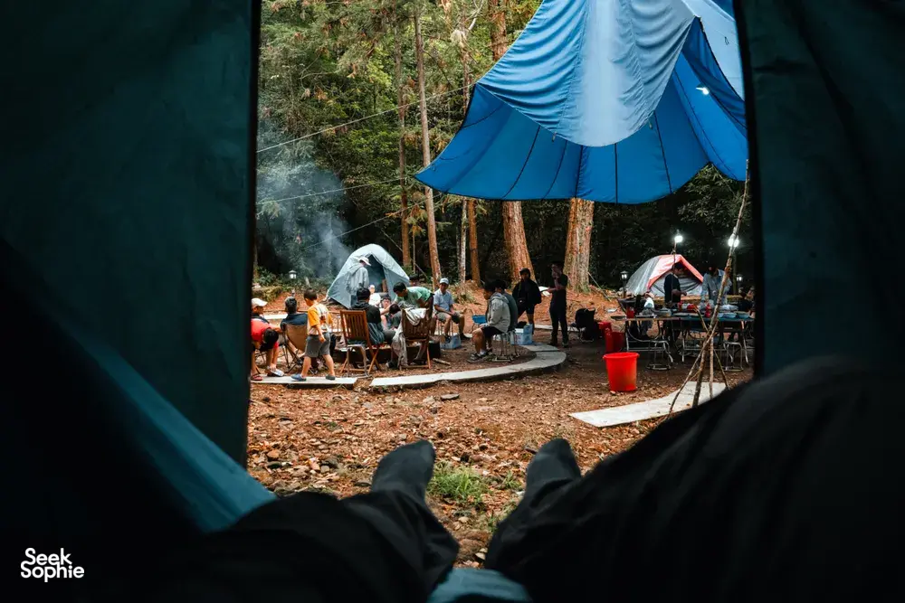 Seek Sophie option picture