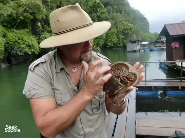 JungleWalla Langkawi naturalist on a Langkawi river cruise holding a crab from the water beside stilt houses