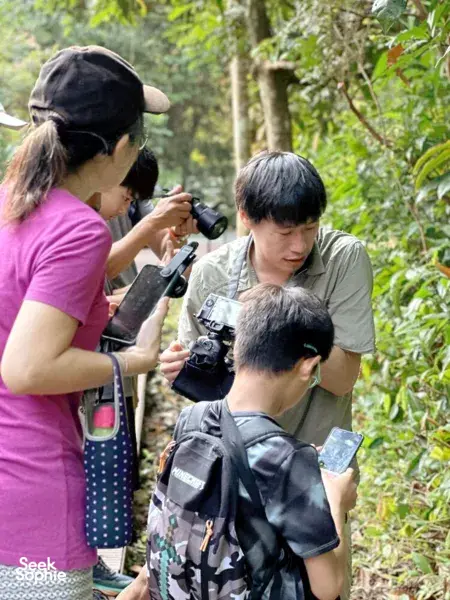 Discover Singapore's Hidden Insects with an Expert Entomologist