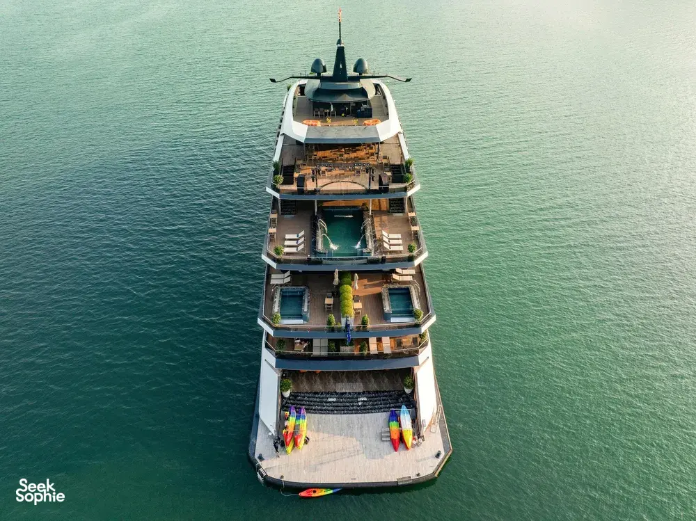 Seek Sophie option picture