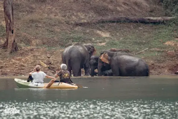 3D2N Rumah Raft Nyaman Khao Sok | Safari Perahu + Gua Karang