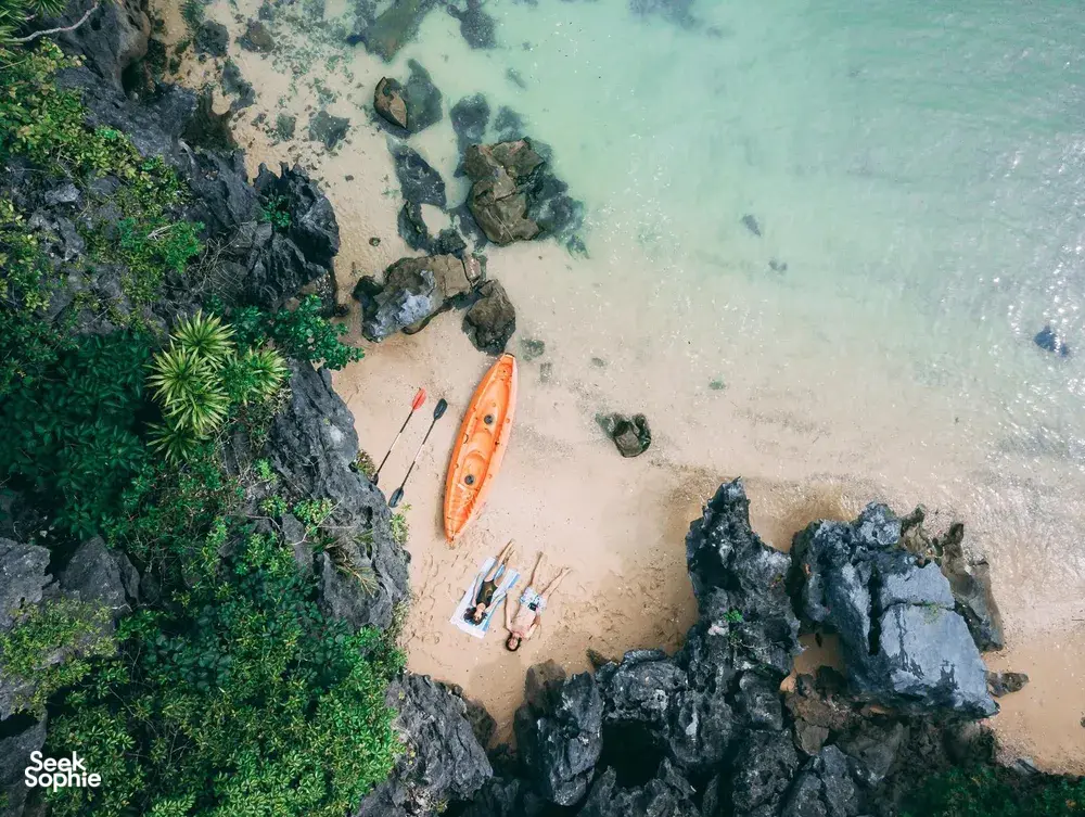 Seek Sophie option picture