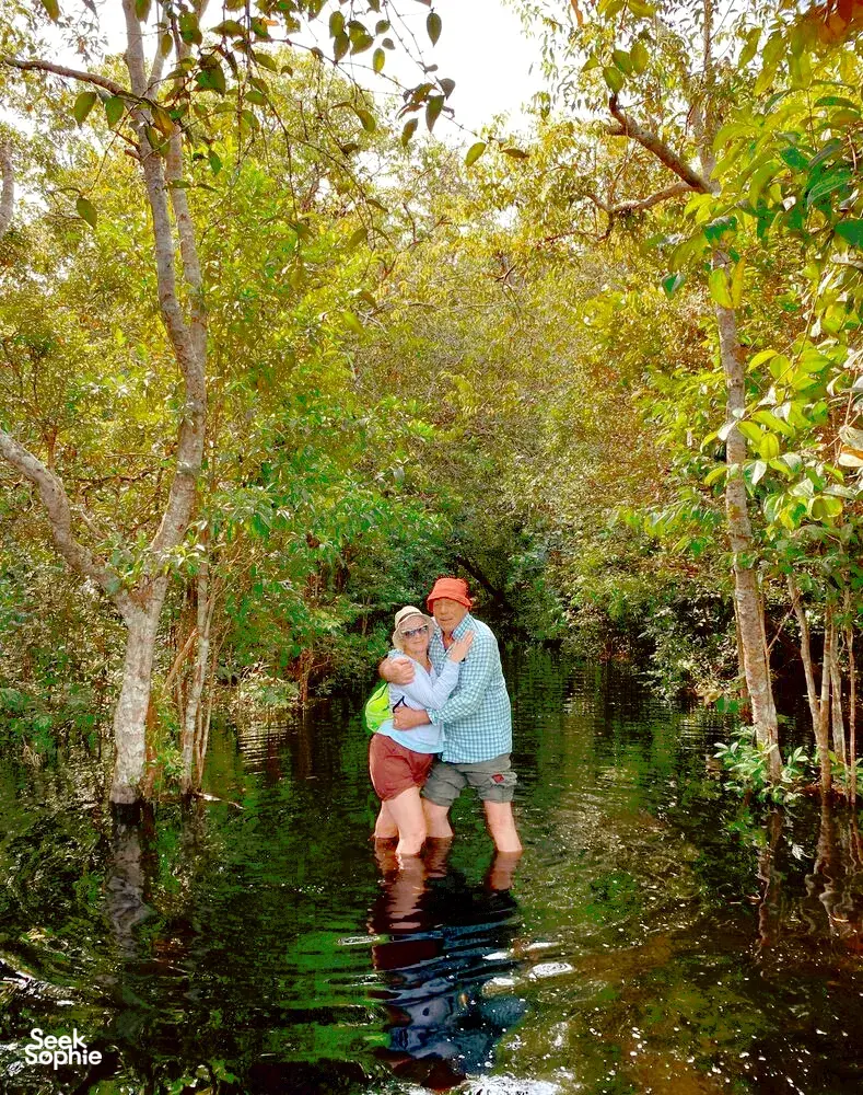 Seek Sophie option picture