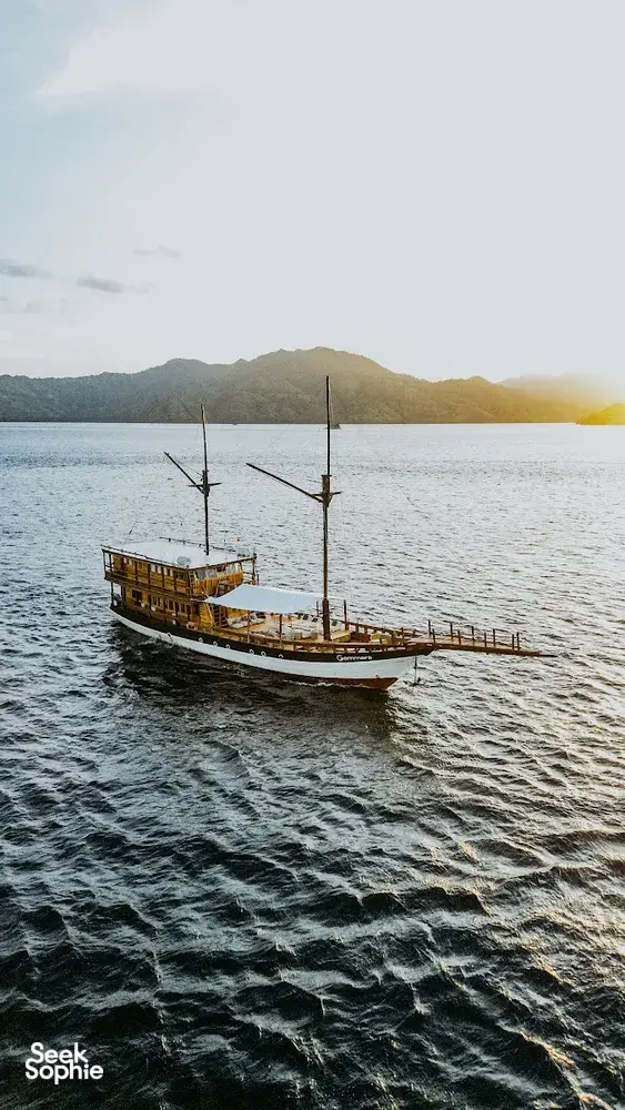 Seek Sophie option picture