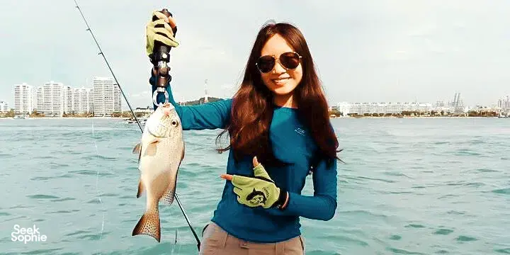 Seek Sophie option picture