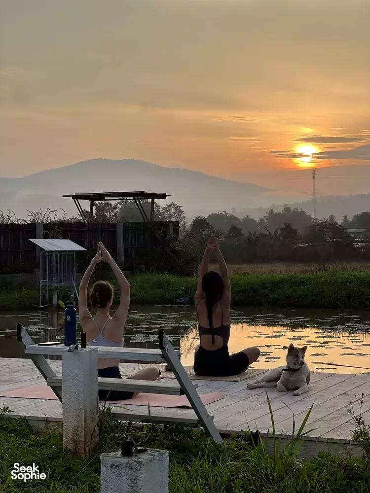 Seek Sophie option picture