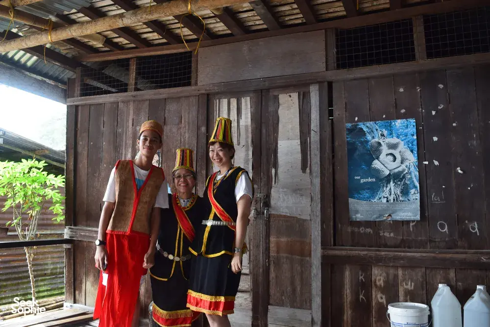 Seek Sophie option picture