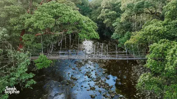 Shallow river with stepping stones and a bamboo footbridge through the lush rainforest at Ngapuh Homestead in Kuching
