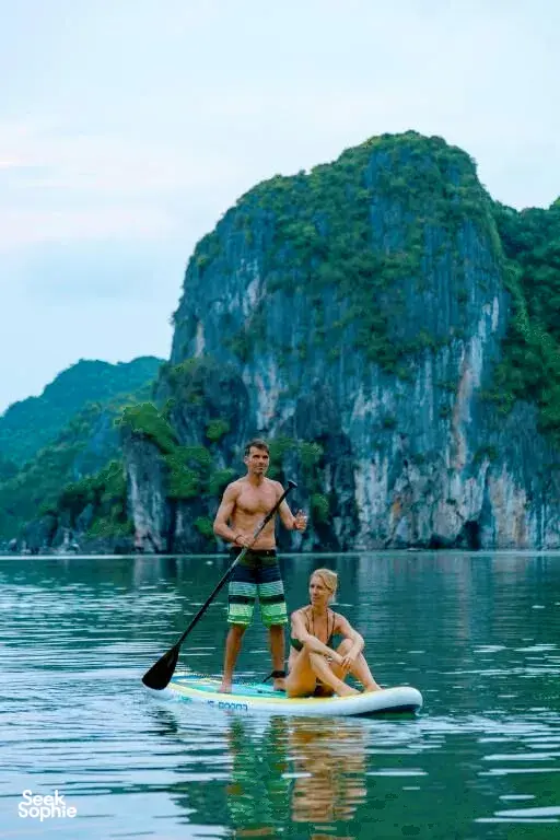 Seek Sophie option picture