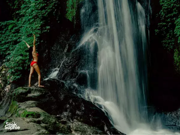 Hidden Ubud Waterfalls with Lunch Overlooking Falls!