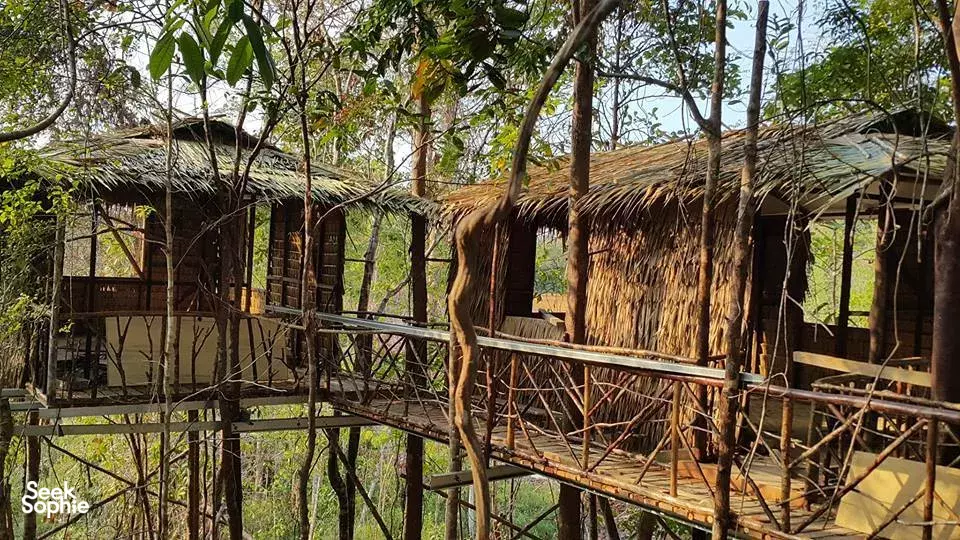 Seek Sophie option picture