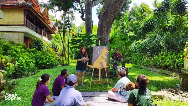 Save Bali's Dogs at Local Animal Shelter