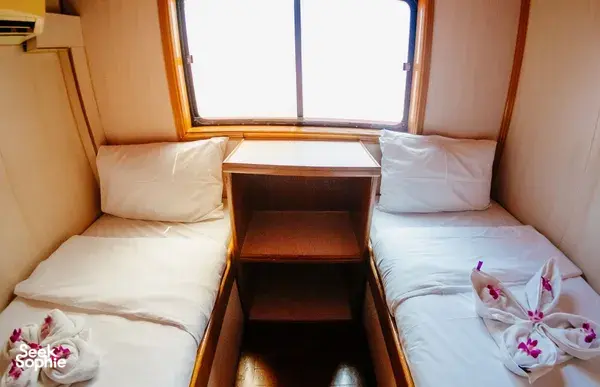 北安达曼3天3夜超值潜水Liveaboard | 10 潜水