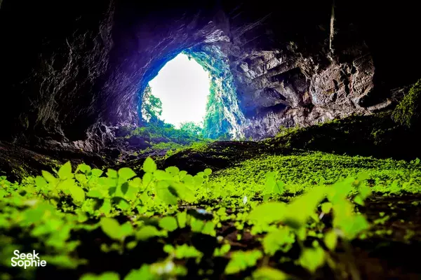 3D3N Phong Nha Jungle Trek to World’s 4th Largest Cave & Kong Sinkhole in the Tiger Cave System