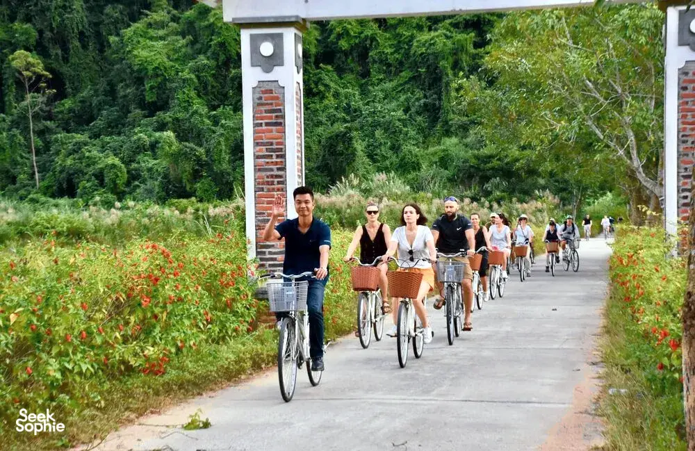 Seek Sophie option picture