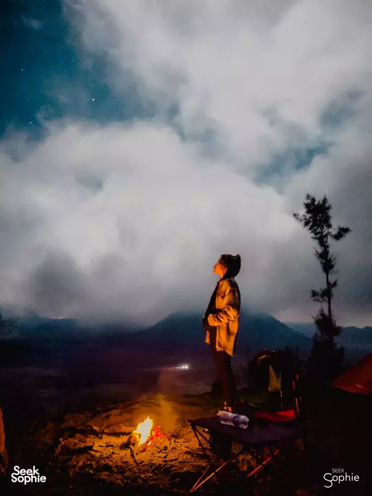 Seek Sophie option picture