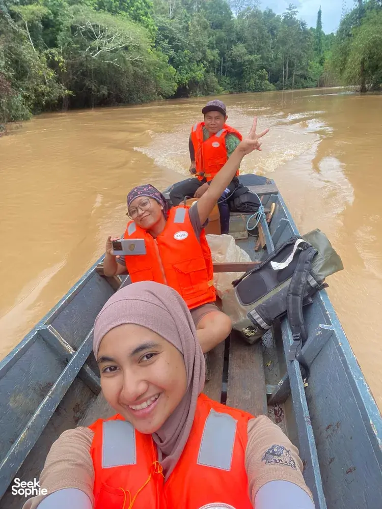 Seek Sophie option picture