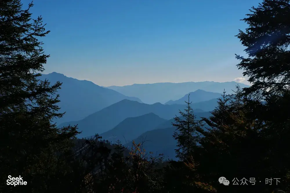 Misty mountain ridgelines across Shangri-La seen between pine trees, a calm view before a hike at sunset