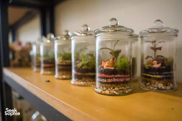 Buat Terrarium Kaca dengan Bahan Tak Terbatas