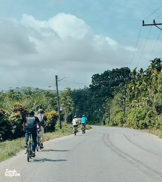 Cyclists riding a quiet road through greenery near Khao Lak on a half-day biking route with Hands Experiences Thailand