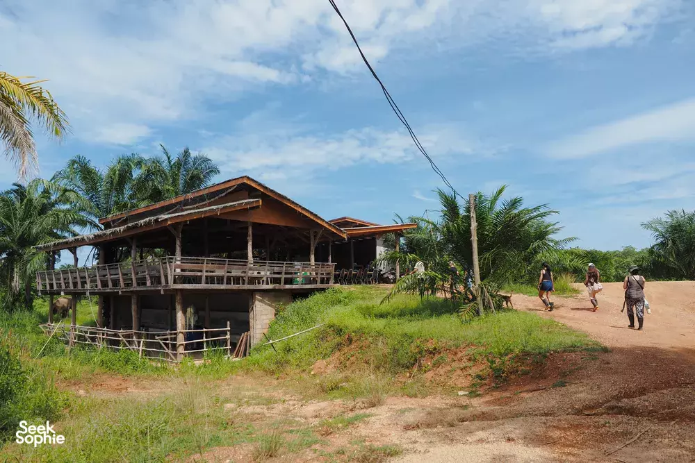 Seek Sophie option picture