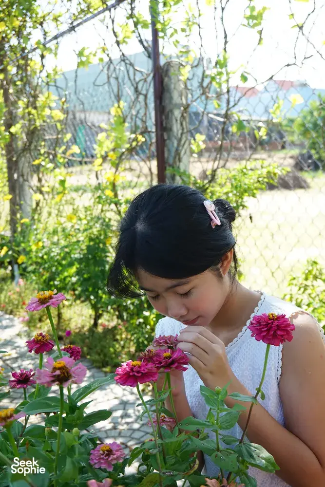 Seek Sophie option picture