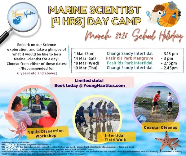 Marine Scientist Day Camp (4-hr) | Intertidal