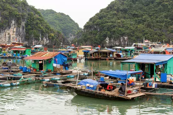 Unique 3D2N Cruise & Floating Homestay Combo from Cat Ba